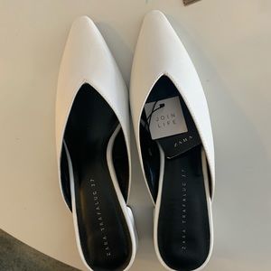 Pointed toes low heeled miles